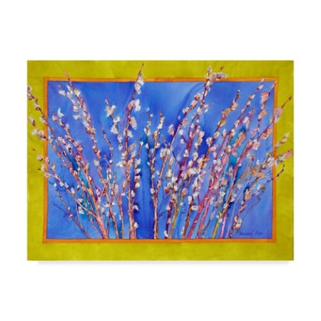 Sharon Pitts 'Pussy Willows' Canvas Art,24x32